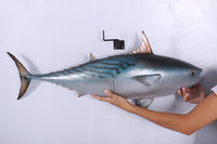 Mackerel Tuna Life Size Statue - LM Treasures 