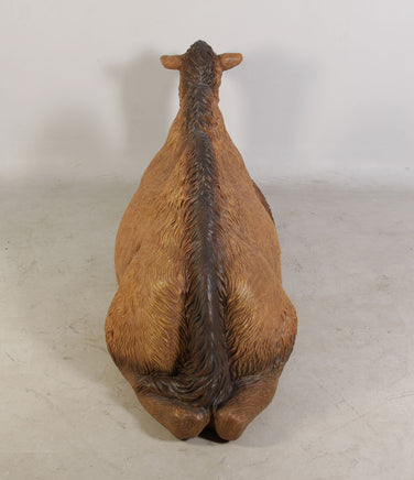 Laying Camel Nativity Life Size Statue - LM Treasures 