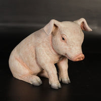 New Born Pig Sitting Life Size Statue - LM Treasures 
