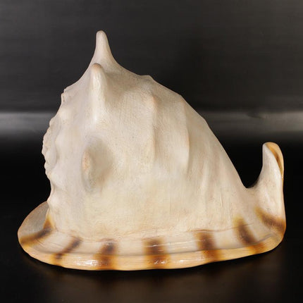 Helmet Shell Life Size Statue - LM Treasures 