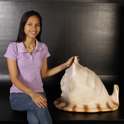 Helmet Shell Life Size Statue - LM Treasures 
