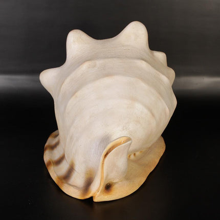 Helmet Shell Life Size Statue - LM Treasures 