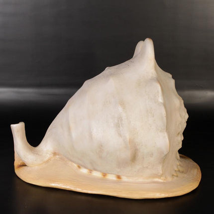 Helmet Shell Life Size Statue - LM Treasures 