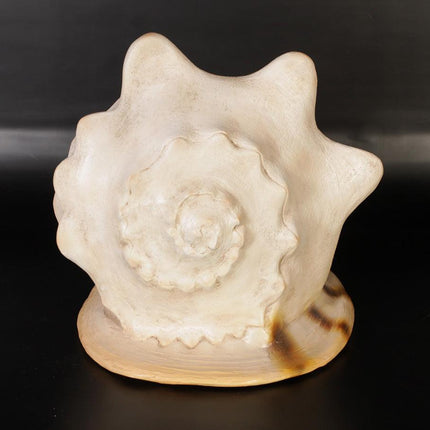 Helmet Shell Life Size Statue - LM Treasures 