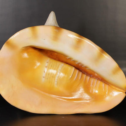 Helmet Shell Life Size Statue - LM Treasures 