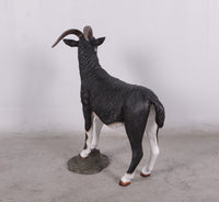 Black Billy Goat Life Size Statue - LM Treasures 