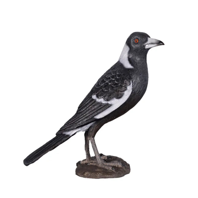Magpie Crow Life Size Statue LM Treasures - H