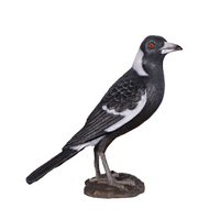 Magpie Crow Life Size Statue - LM Treasures 