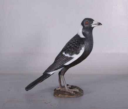 Magpie Crow Life Size Statue - LM Treasures 