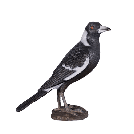 Magpie Crow Life Size Statue - LM Treasures 