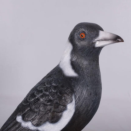 Magpie Crow Life Size Statue - LM Treasures 