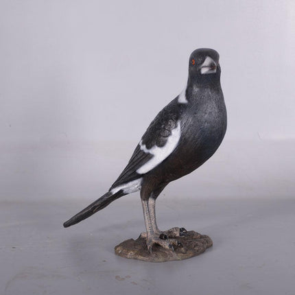 Magpie Crow Life Size Statue - LM Treasures 