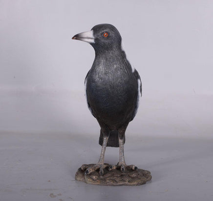 Magpie Crow Life Size Statue - LM Treasures 