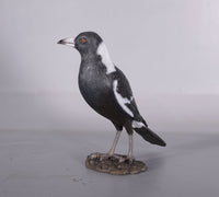Magpie Crow Life Size Statue - LM Treasures 