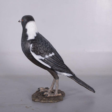Magpie Crow Life Size Statue - LM Treasures 