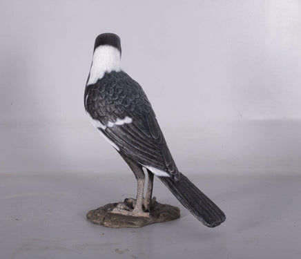 Magpie Crow Life Size Statue - LM Treasures 