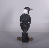 Magpie Crow Life Size Statue - LM Treasures 