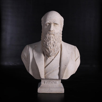 Darwin Stone Bust Life Size Statue - LM Treasures 