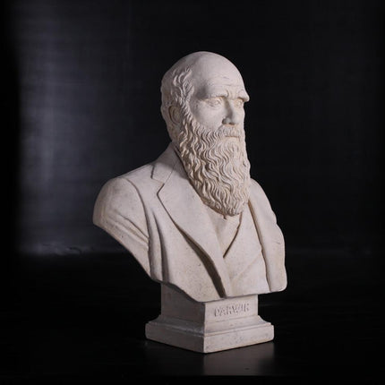 Darwin Stone Bust Life Size Statue - LM Treasures 