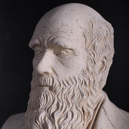 Darwin Stone Bust Life Size Statue - LM Treasures 