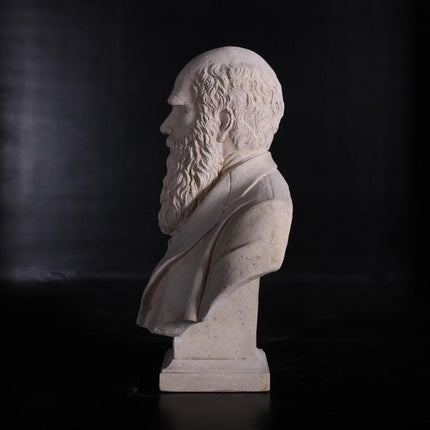 Darwin Stone Bust Life Size Statue - LM Treasures 