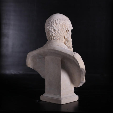 Darwin Stone Bust Life Size Statue - LM Treasures 