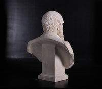 Stone Bust Darwin Greek Roman Prop Resin Decor - LM Treasures 