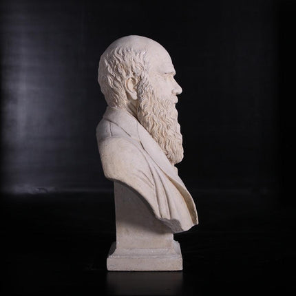 Darwin Stone Bust Life Size Statue - LM Treasures 
