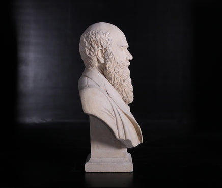 Stone Bust Darwin Greek Roman Prop Resin Decor - LM Treasures 