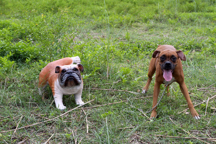 Bulldog Peeing Life Size Statue - LM Treasures 