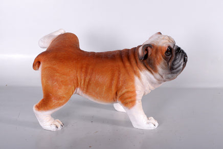 Bulldog Peeing Life Size Statue - LM Treasures 