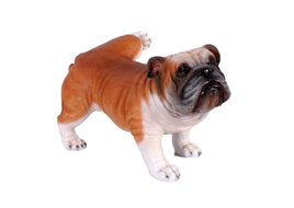 Bulldog Peeing Life Size Statue - LM Treasures 