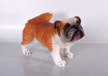 Bulldog Peeing Life Size Statue - LM Treasures 