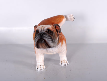 Bulldog Peeing Life Size Statue - LM Treasures 