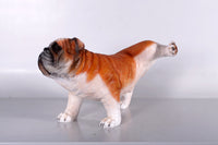 Bulldog Peeing Life Size Statue - LM Treasures 