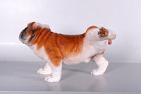 Bulldog Peeing Life Size Statue - LM Treasures 