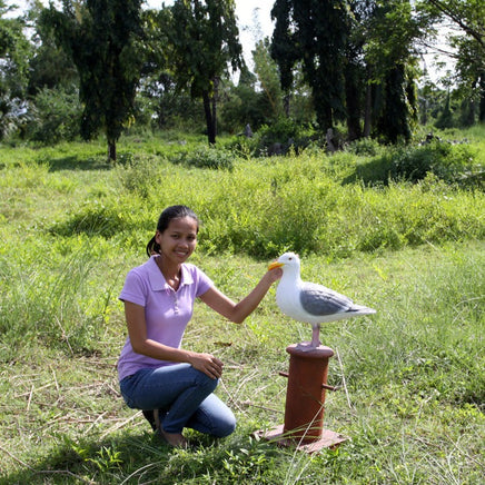 Seagull On Post Life Size Statue - LM Treasures 