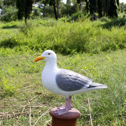 Seagull On Post Life Size Statue - LM Treasures 