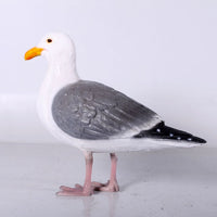 Seagull Life Size Statue - LM Treasures 