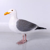 Seagull Life Size Statue - LM Treasures 
