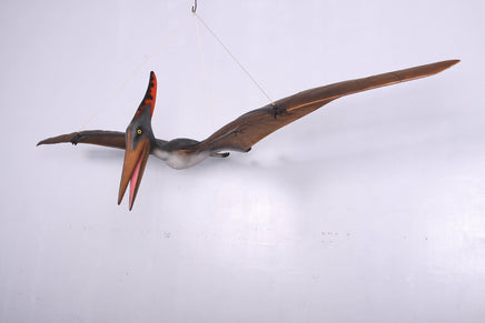 Pteranodon Dinosaur Life Size Statue - LM Treasures 