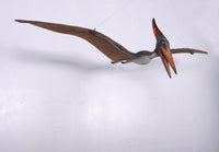 Pteranodon Dinosaur Life Size Statue - LM Treasures 