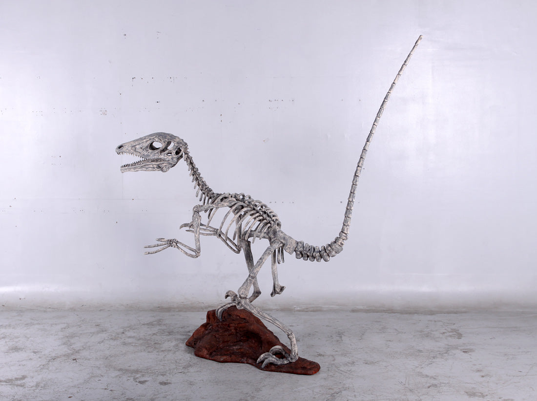 Deinonychus Finished Dinosaur Model 1/10 Scale Replica by DinoStoreus