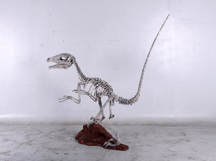 Deinonychus Dinosaur Skeleton Life Size Statue - LM Treasures 