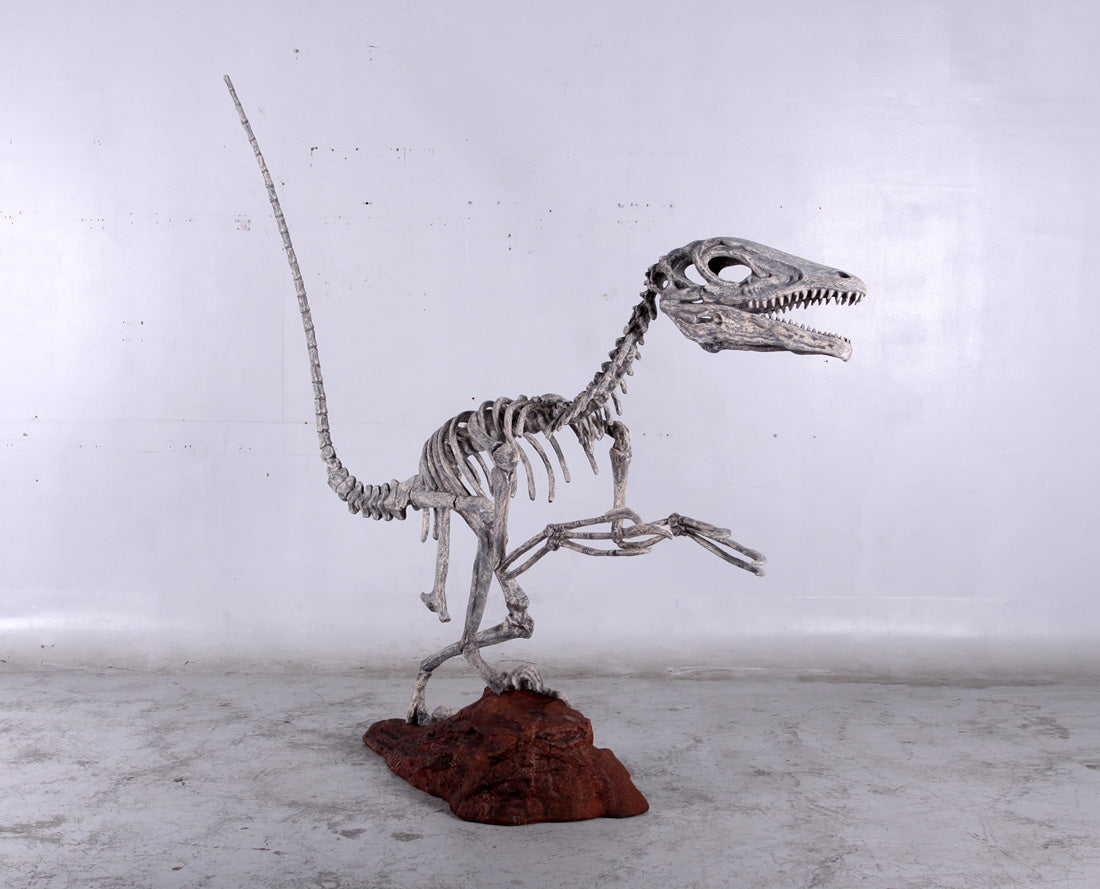 Deinonychus Finished Dinosaur Model 1/10 Scale Replica by DinoStoreus
