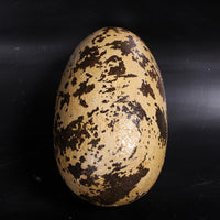 Small Theropod Dinosaur Egg Life Size Statue - LM Treasures 