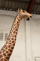 Full Size Giraffe Life Size Statue - LM Treasures 