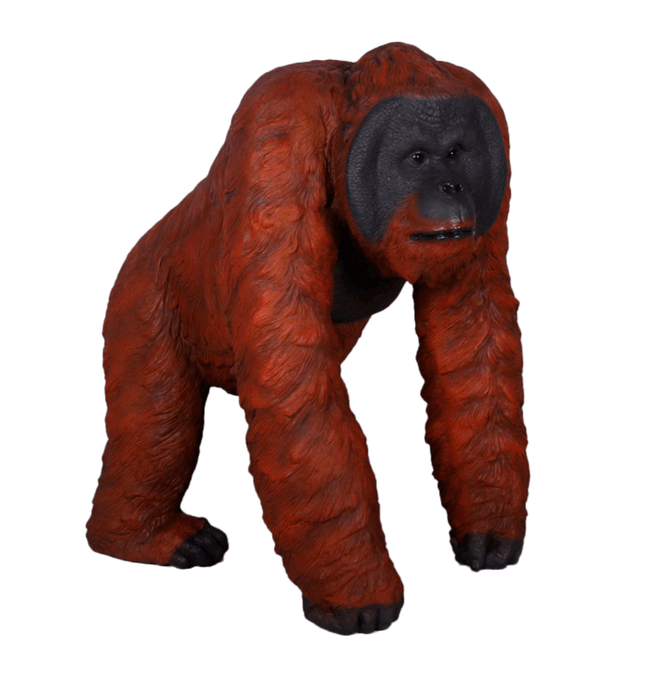 Orangutan Walking Life Size Statue - LM Treasures 