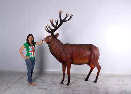 Majestic Stag Deer Life Size Statue - LM Treasures 