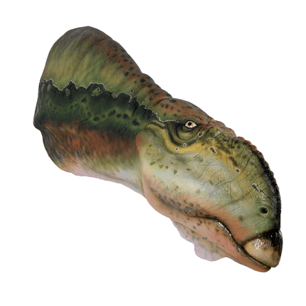 Muttaburrasaurus Dinosaur Head Life Size Statue - LM Treasures 